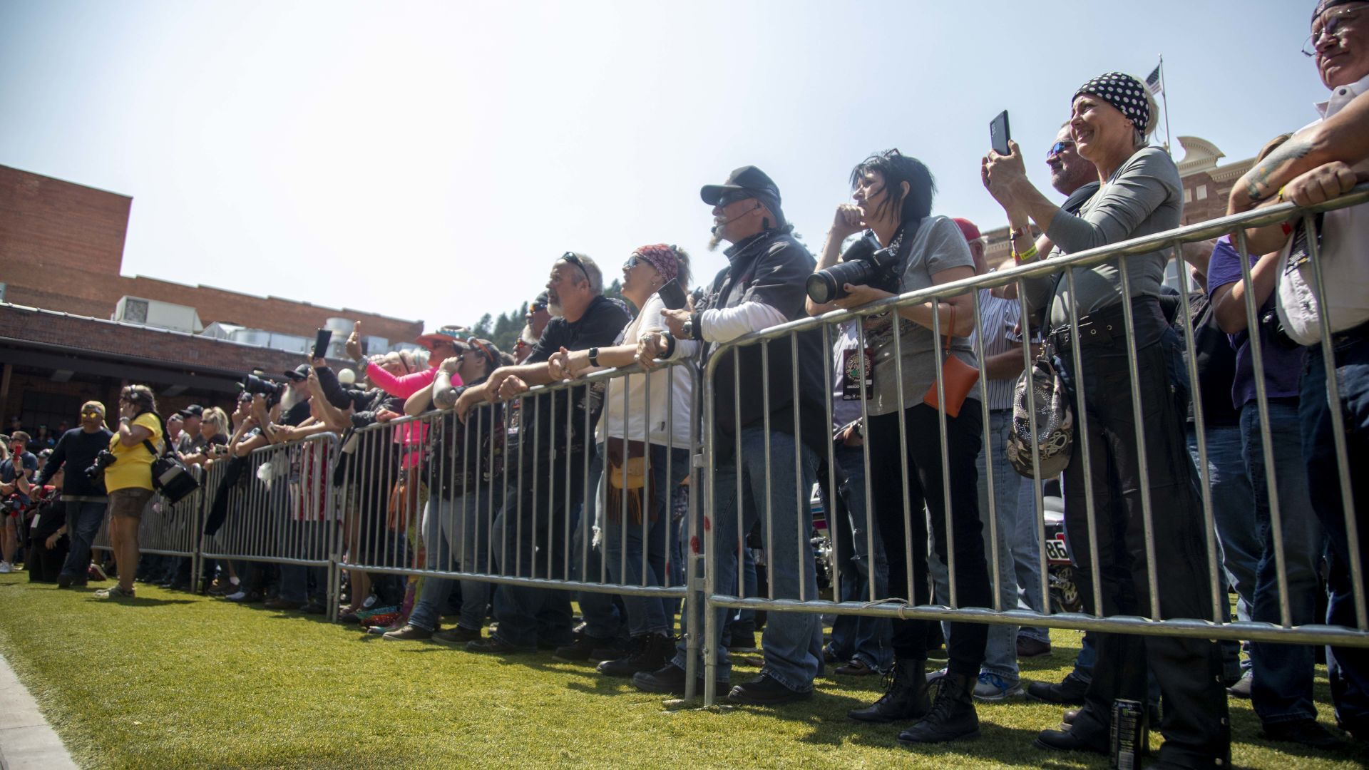 Crowd phones